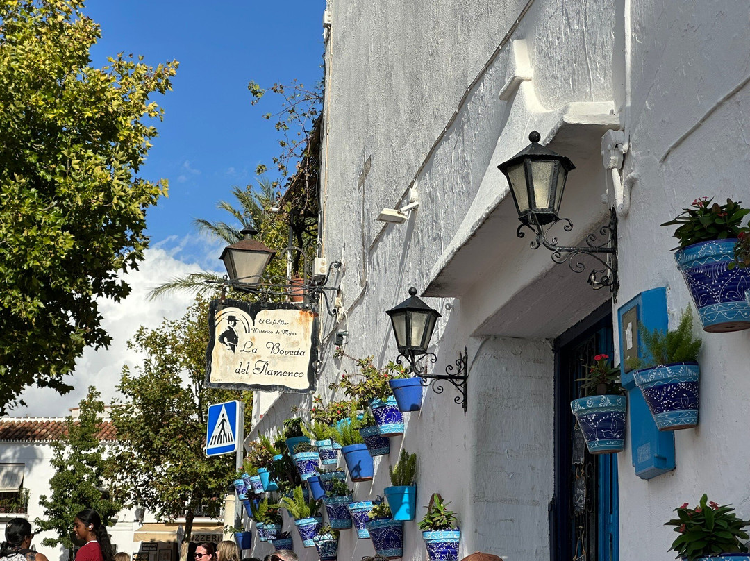 La Boveda del Flamenco