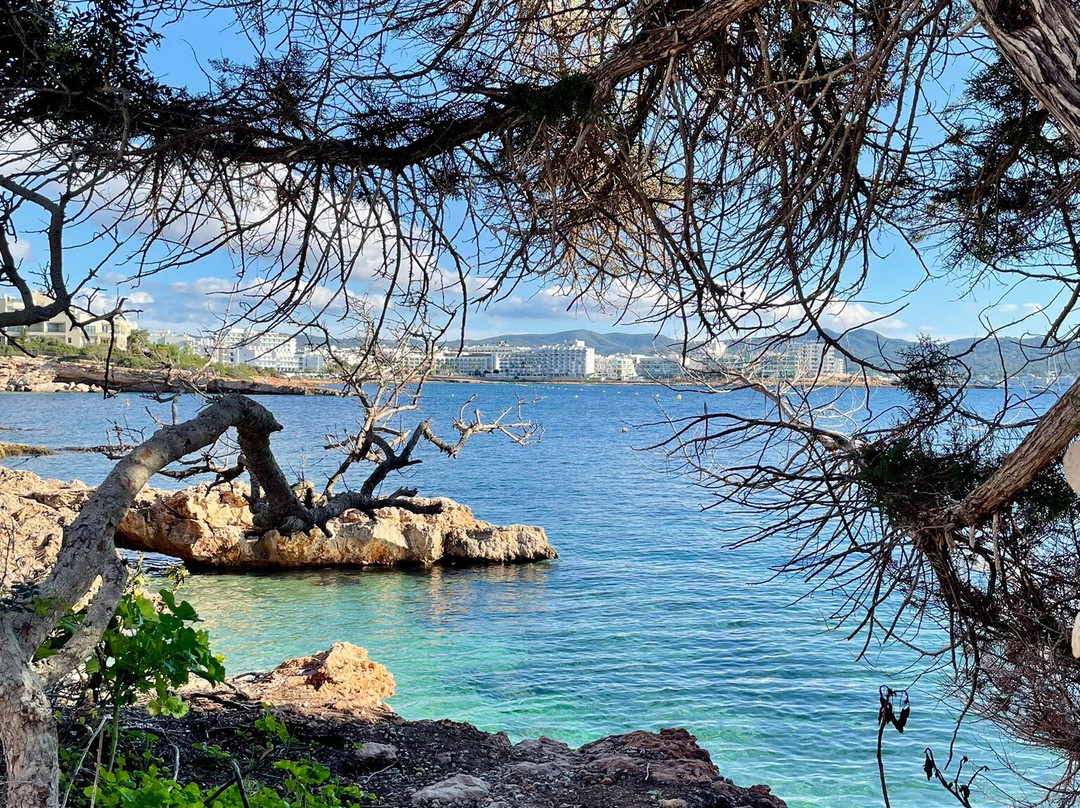 Aquarium Cap Blanc-圣安东尼德波特曼尼必去景点