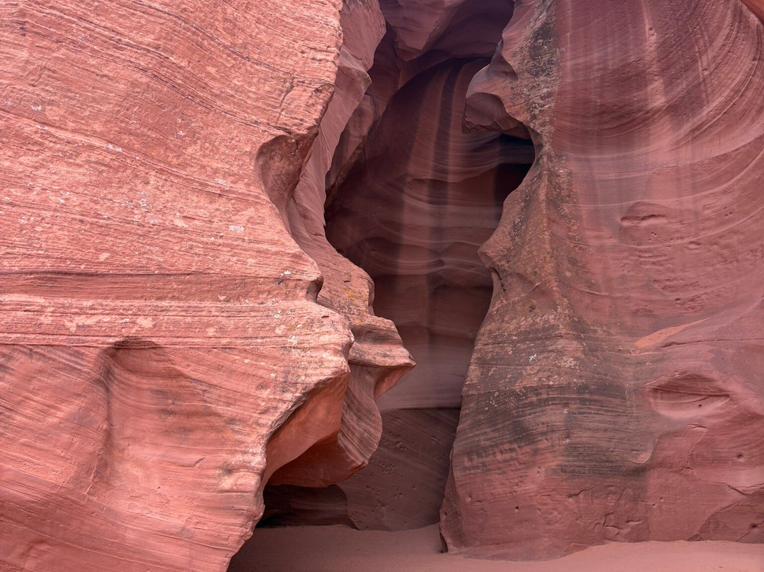 Antelope Canyon Tours by Roger Ekis-佩吉必去景点