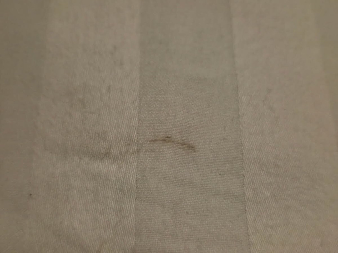 Flamingo Land Resort-Kirby Misperton必去景点