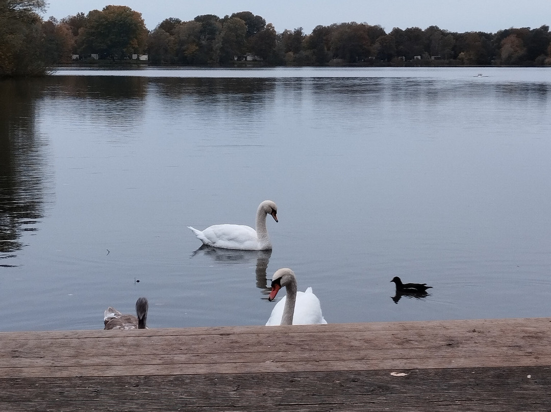 Center Parcs De Huttenheugte主图