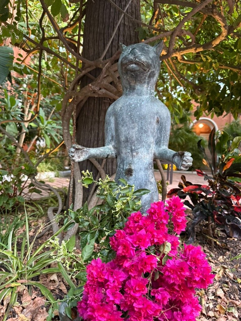 马德雷瑟瓦酒店-酒店景观