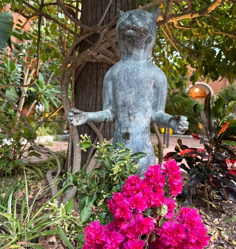 马德雷瑟瓦酒店主图