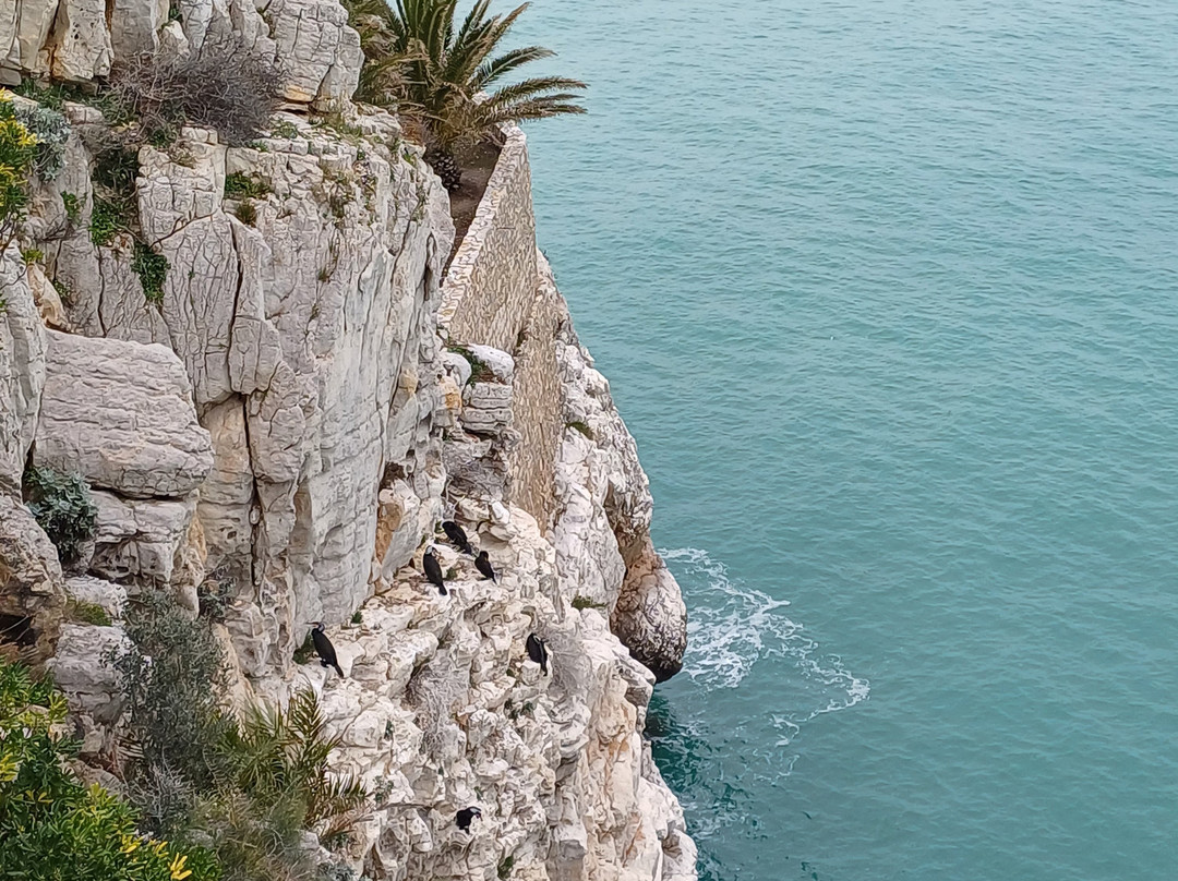 Jardines Castillo Peniscola-潘尼斯科拉必去景点