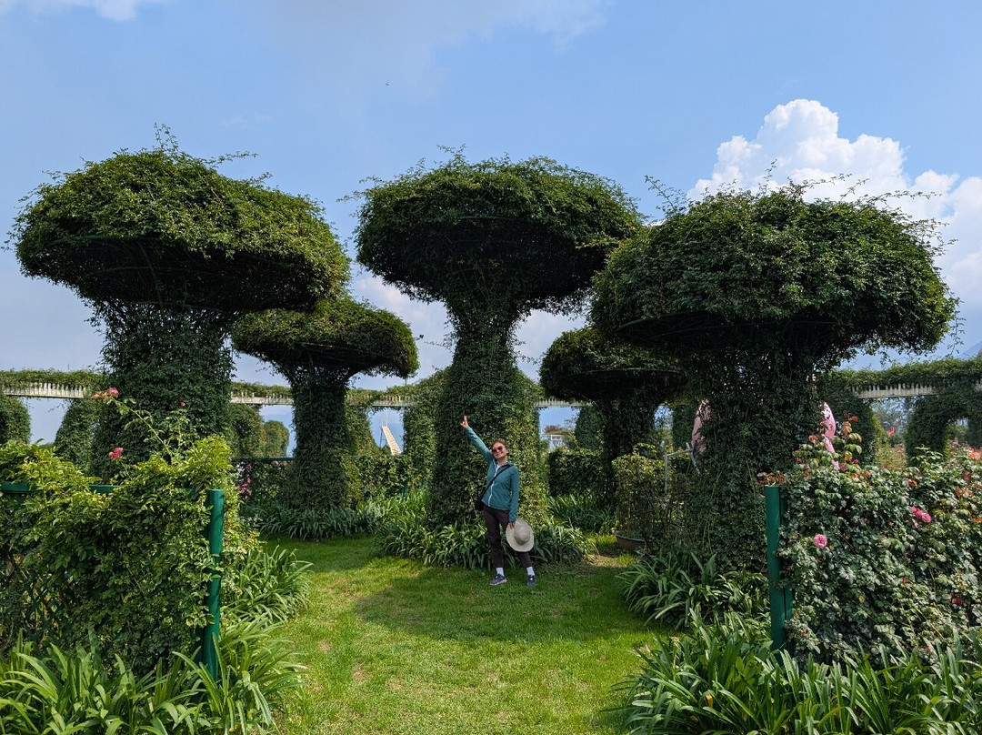 Sun World Fansipan Legend-沙巴必去景点