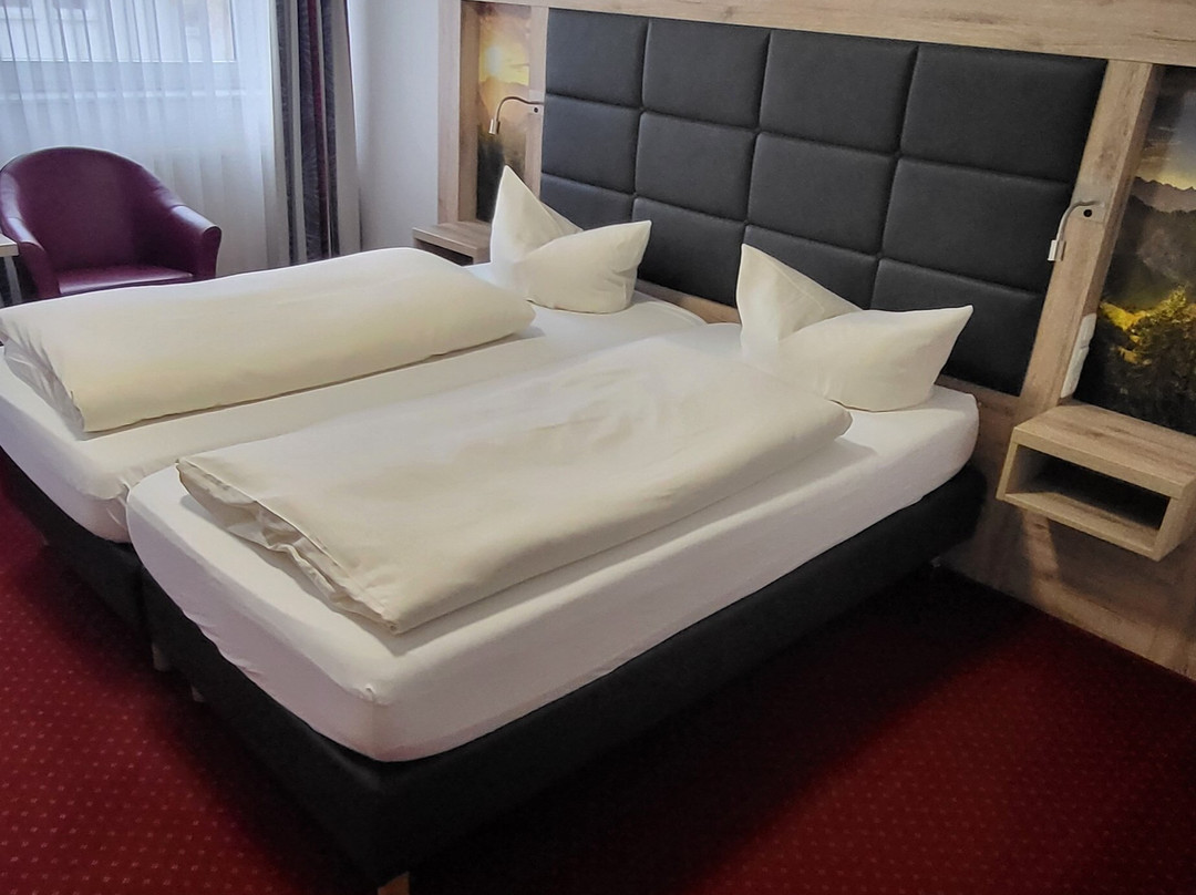 Hotel Am Freischutz主图