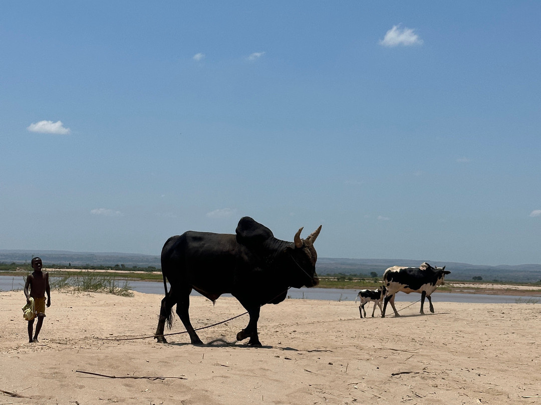 Namiouh Dago tour-安齐拉贝必去景点