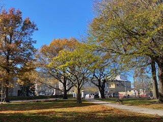 Lincoln Park-波特兰必去景点