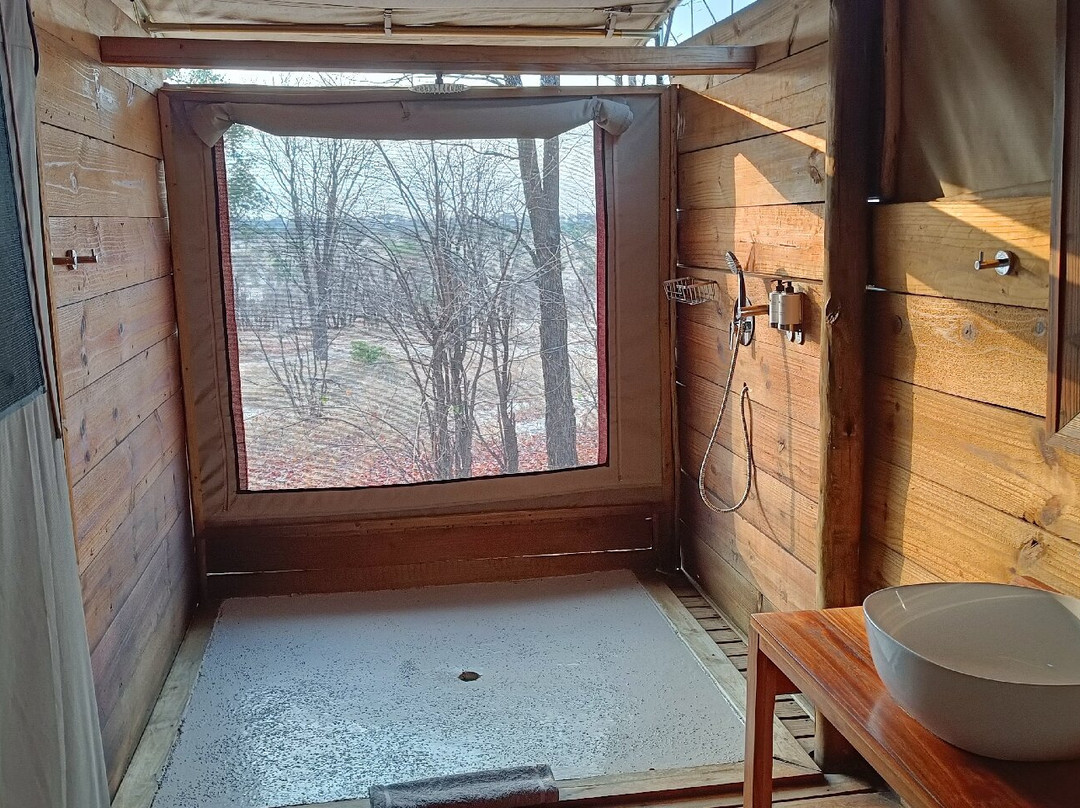 蔓威丛林营地主图