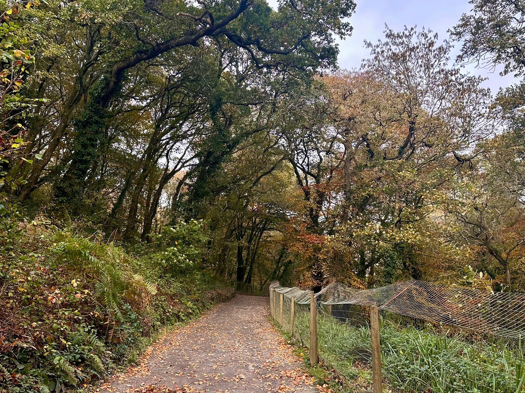 Cornish Seal Sanctuary-Gweek必去景点