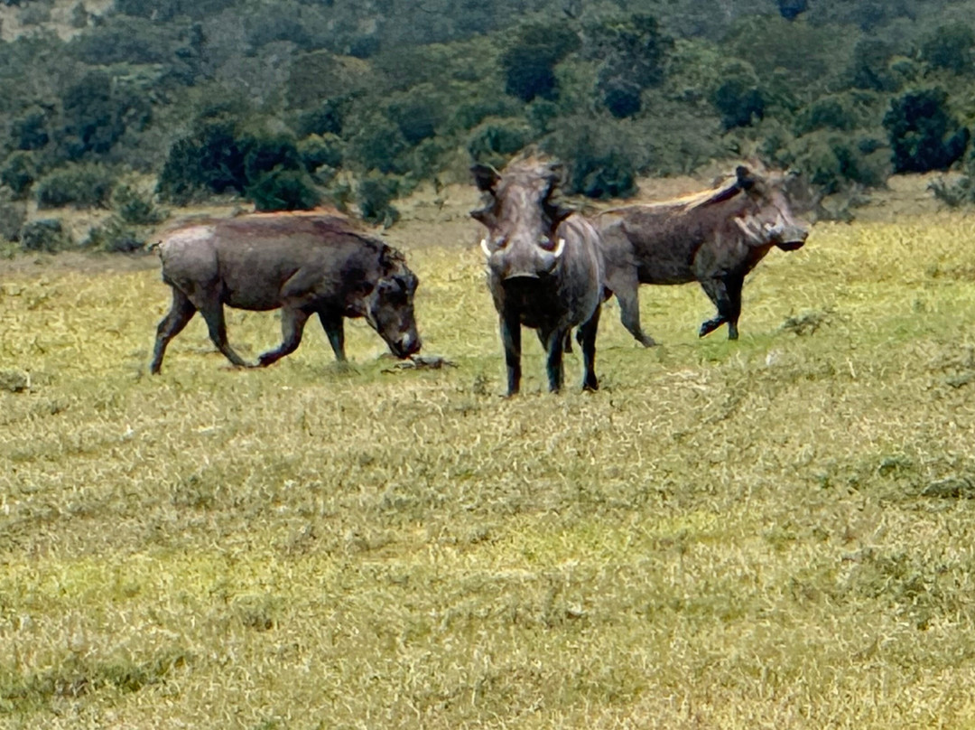 Jemu Expeditions-南由基必去景点