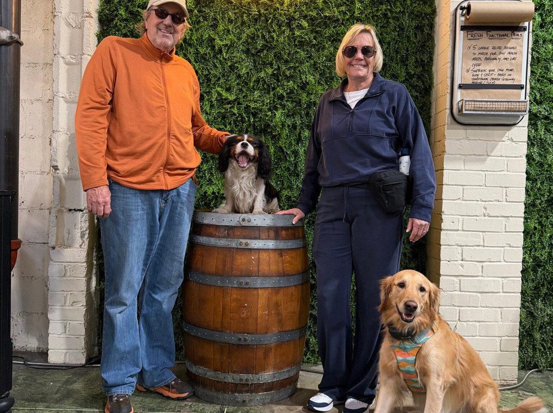 Oliver Bentleys Historic Dog Walk Tour-萨凡纳必去景点