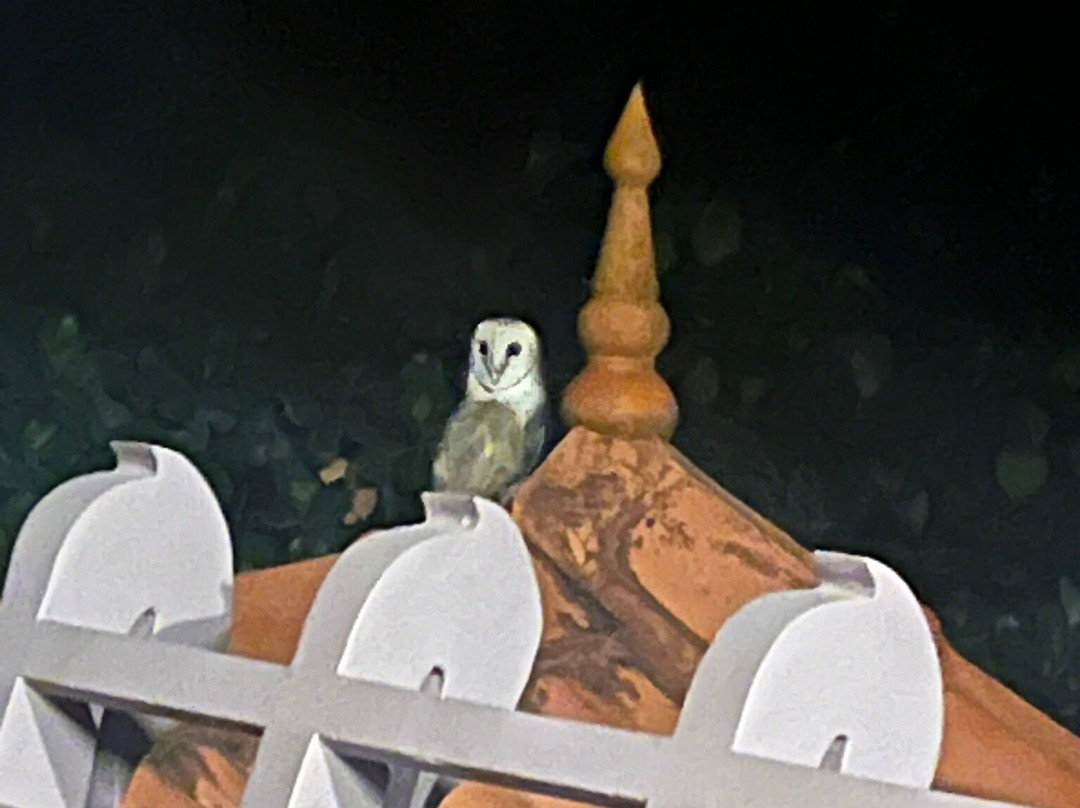 Amrutham-Gamaya主图