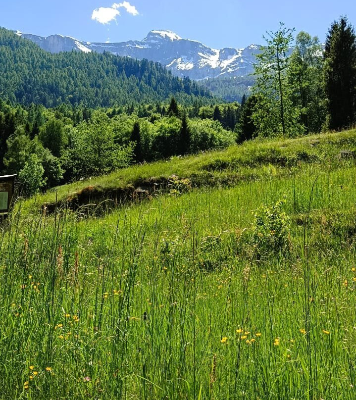 Alpe Esigo-Alpe Devero必去景点