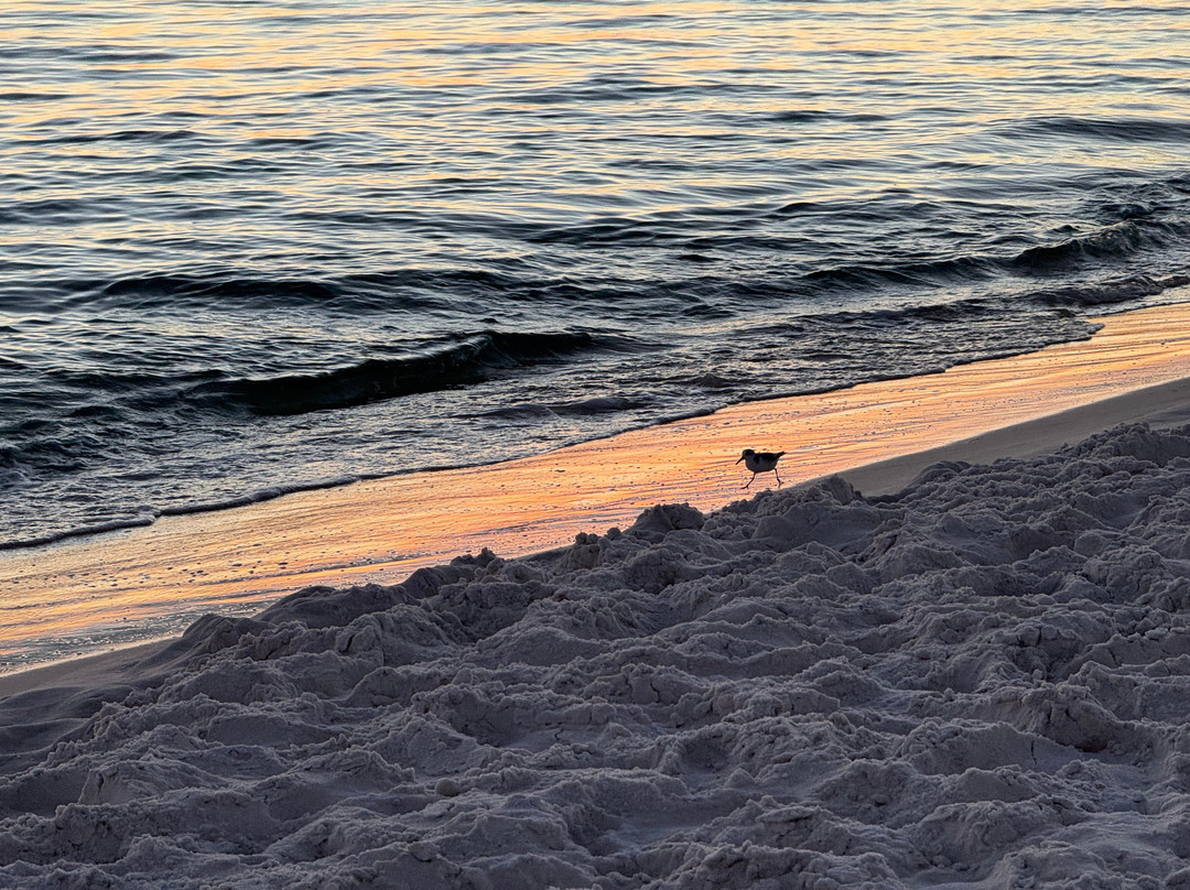 Camp Creek Inn主图