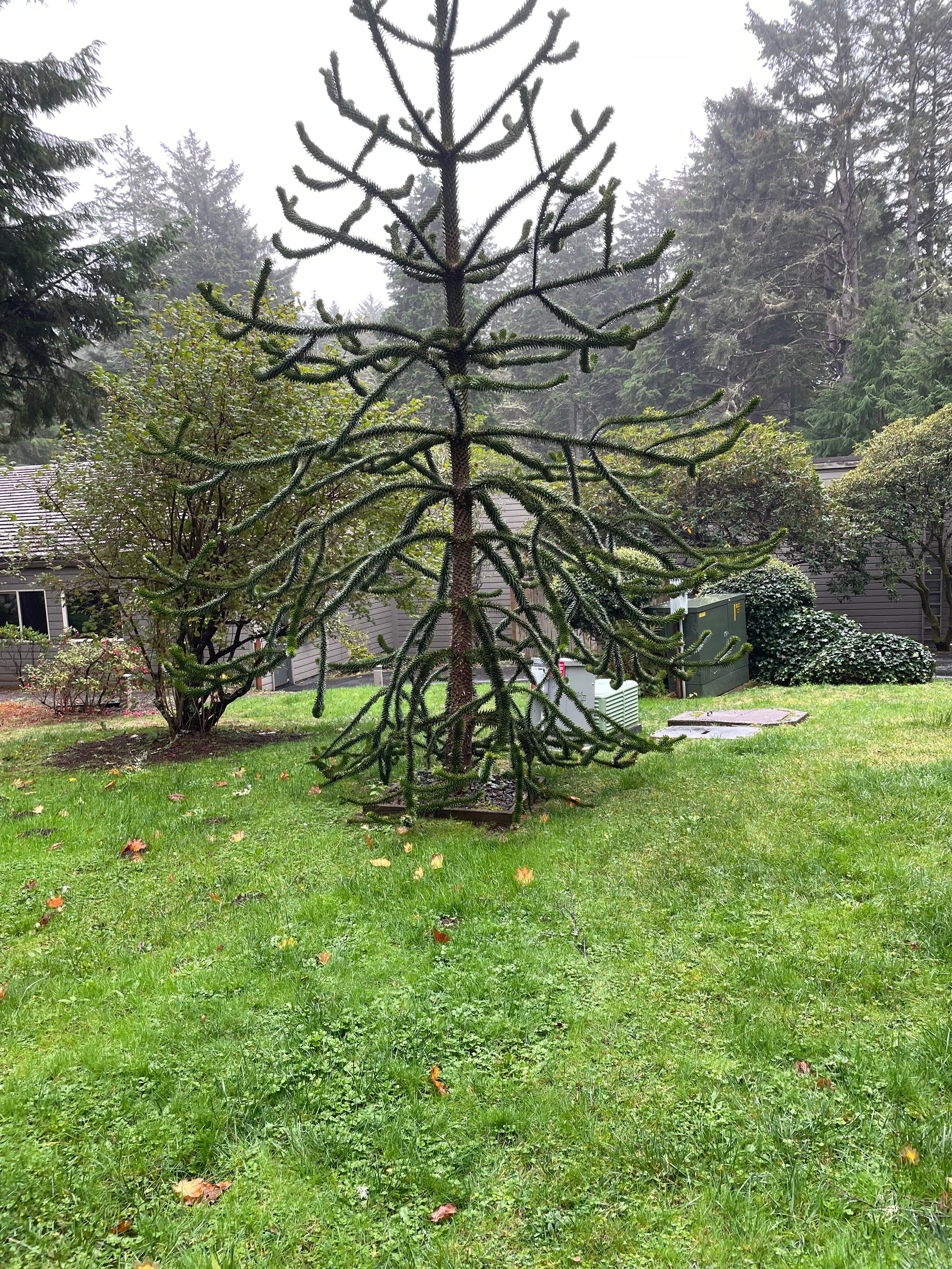 Inn at Otter Crest-官方