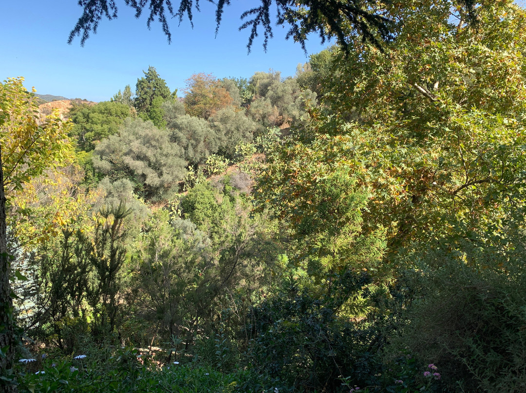 Botanical Park & Gardens of Crete-Omalos必去景点