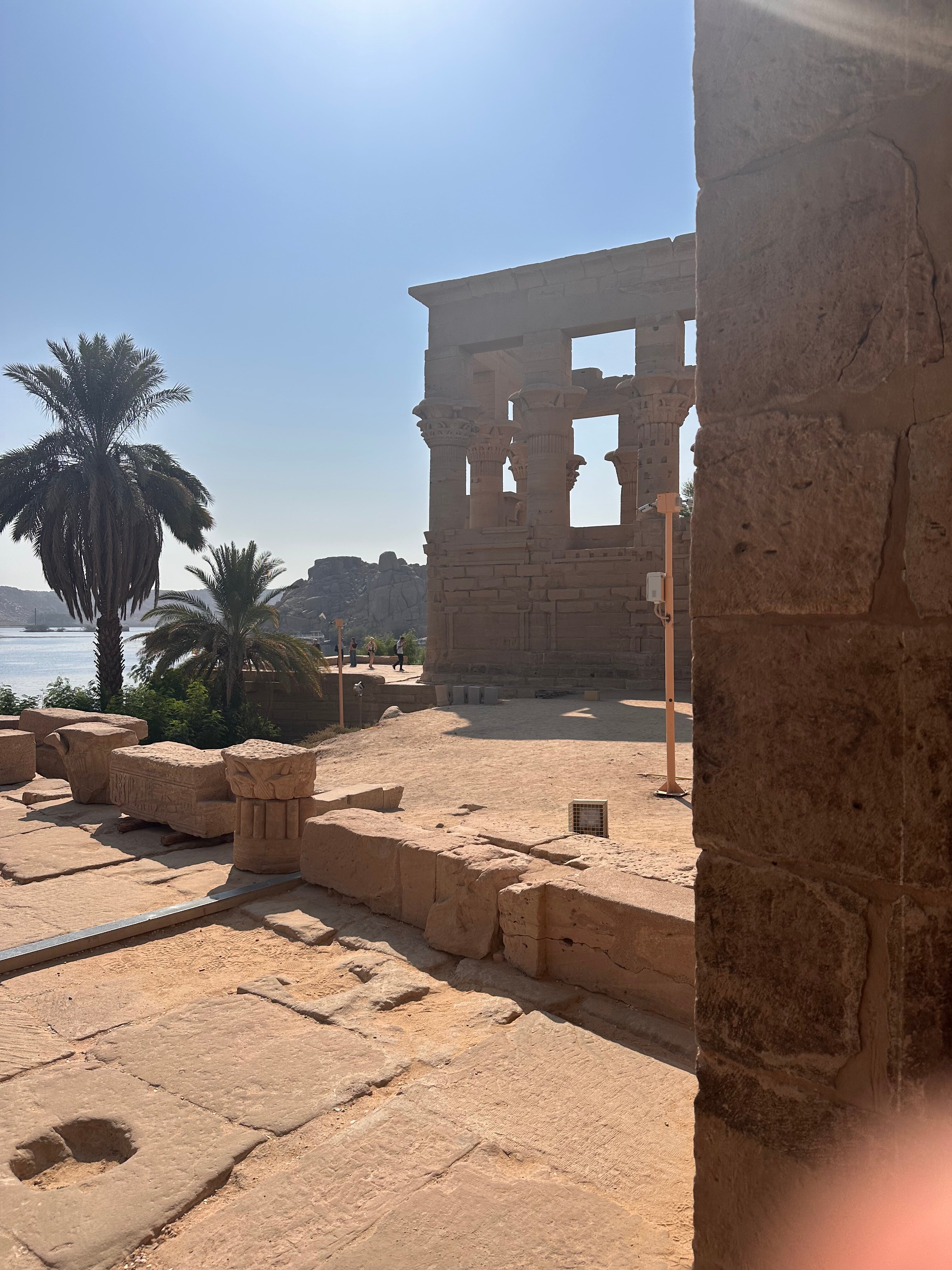 SUNRISE M/S Terramar-官方