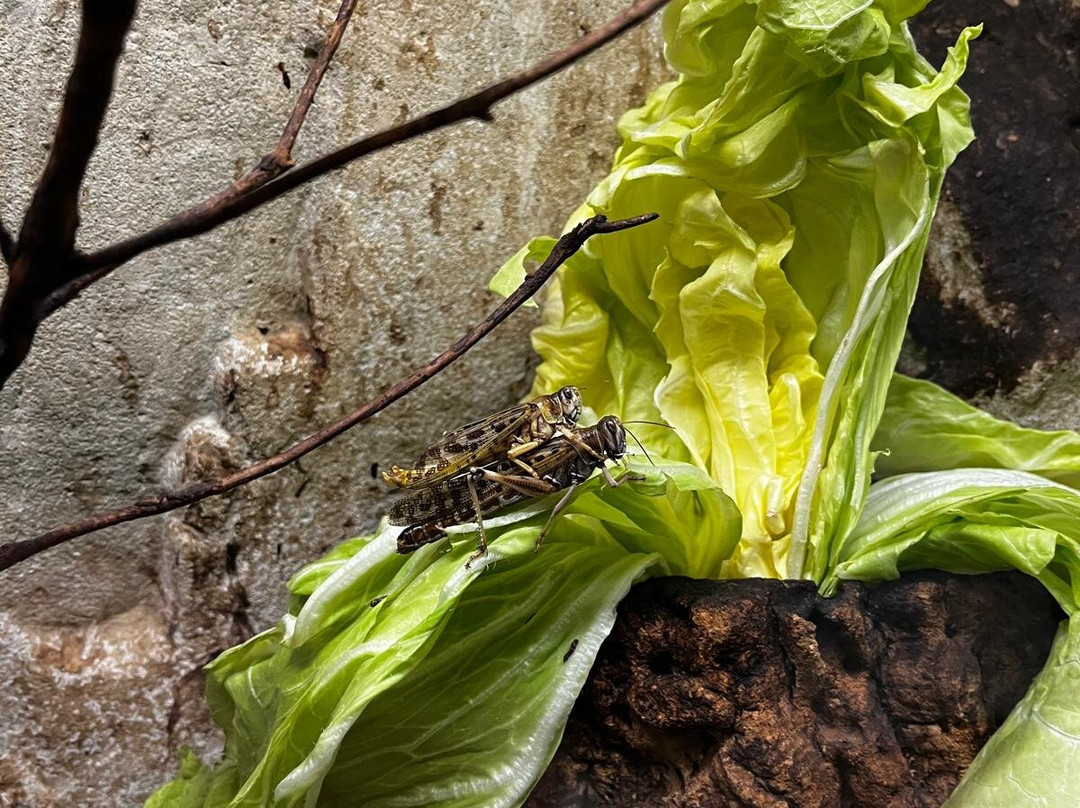 Acquario Di Livorno-里窝那必去景点