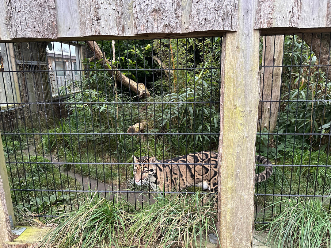 Krokodille Zoo-Eskilstrup必去景点