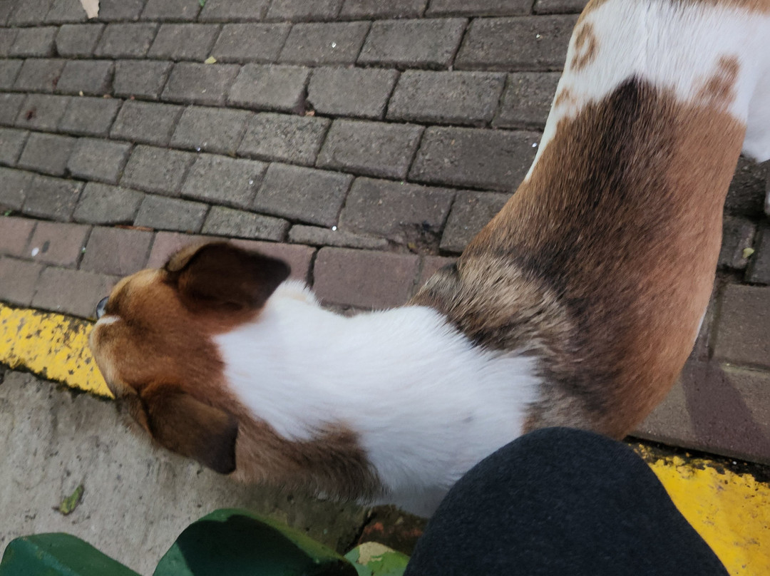 Hacienda La Chimba-圣安娜必去景点