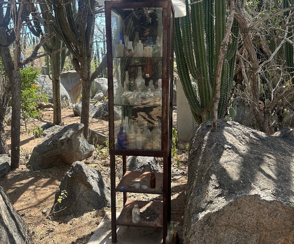 Terrafuse-Noord必去景点