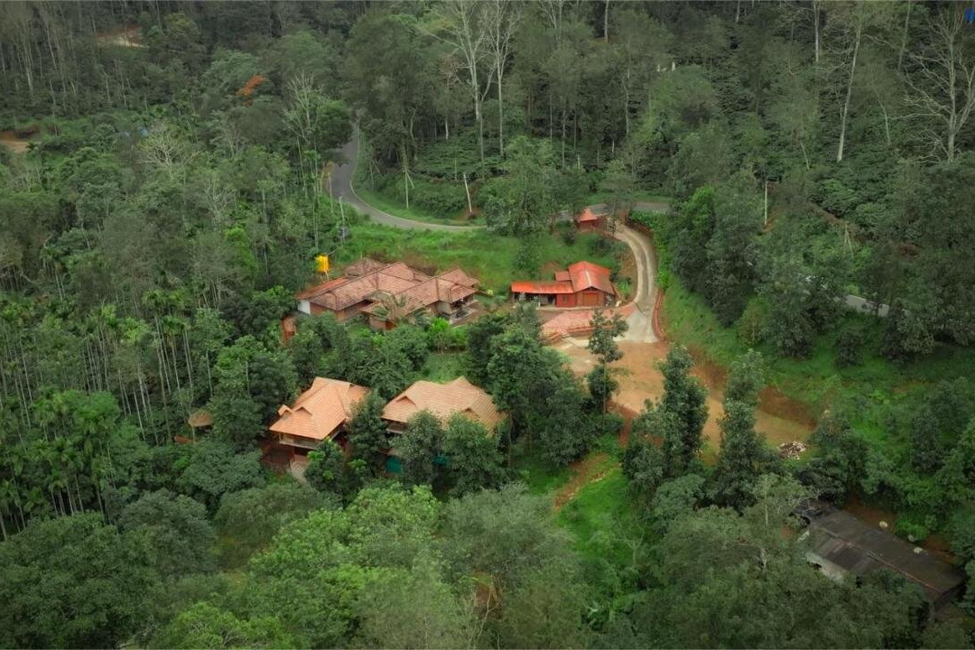Mokha Grove Retreat