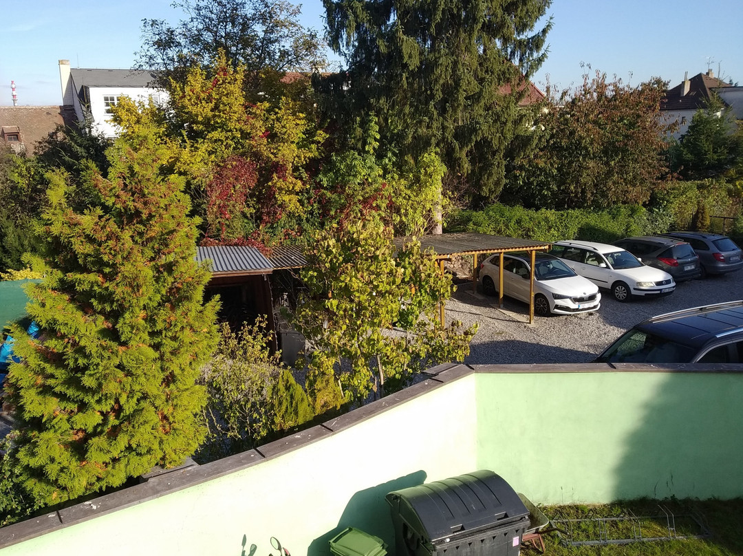 帕尔杜比采酒店住宿-Penzion Restaurant U Kohoutka