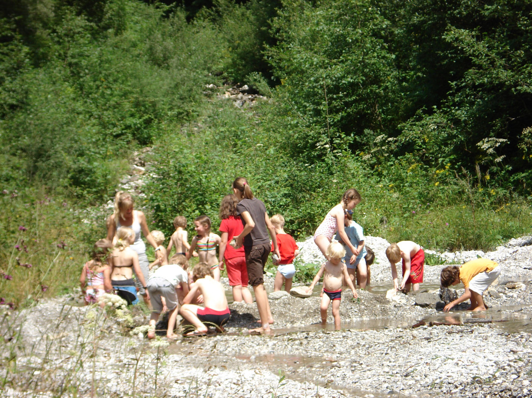 Reisenschuh酒店住宿-Hotel Alpin