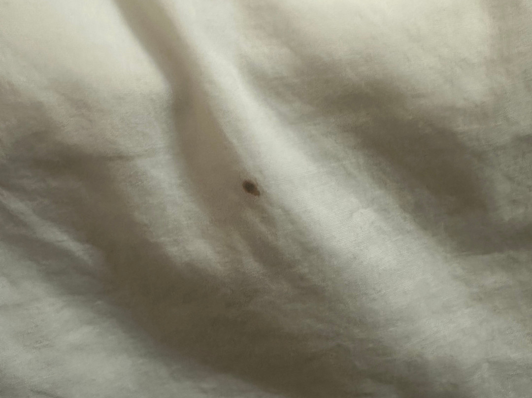 米林顿希尔顿恒庭旅馆&套房酒店主图