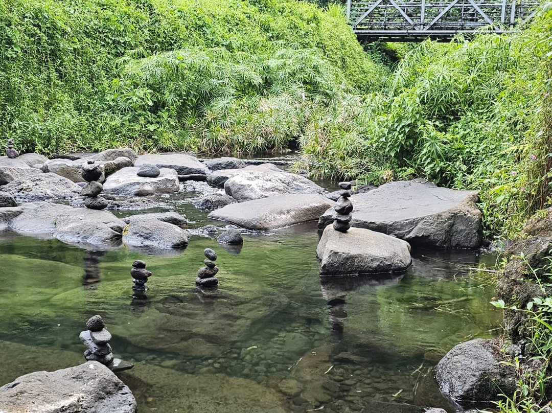 Marama Safari 4x4-法阿必去景点