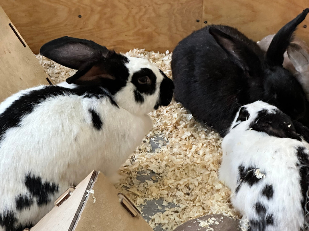 Strana Enotiya-克拉斯诺亚尔斯克必去景点