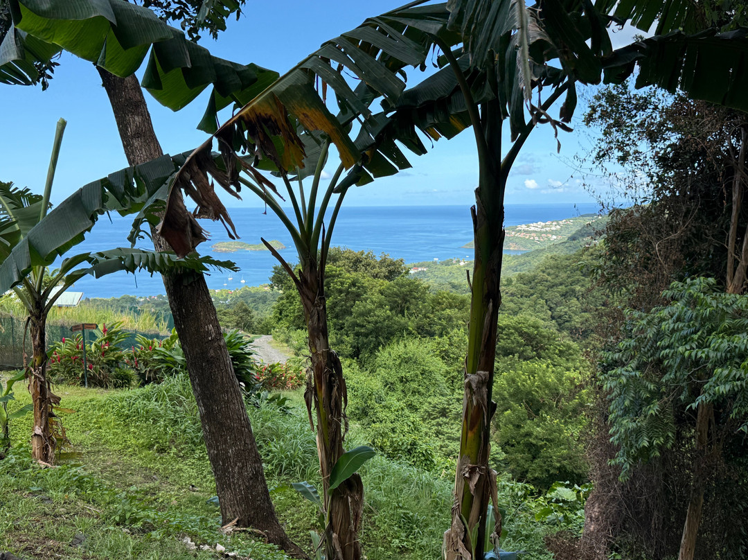 Parc De La Source-Bouillante必去景点