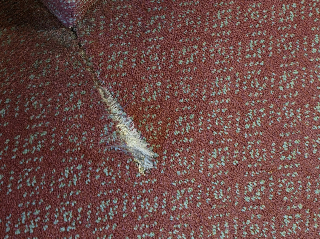 Microtel Inn & Suites by Wyndham Hamburg主图