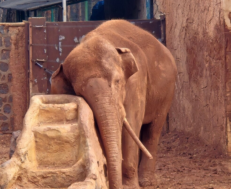 Gaziantep Zoo-加济安泰普必去景点