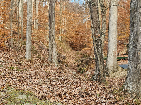 eXplore Brown County-纳什维尔必去景点