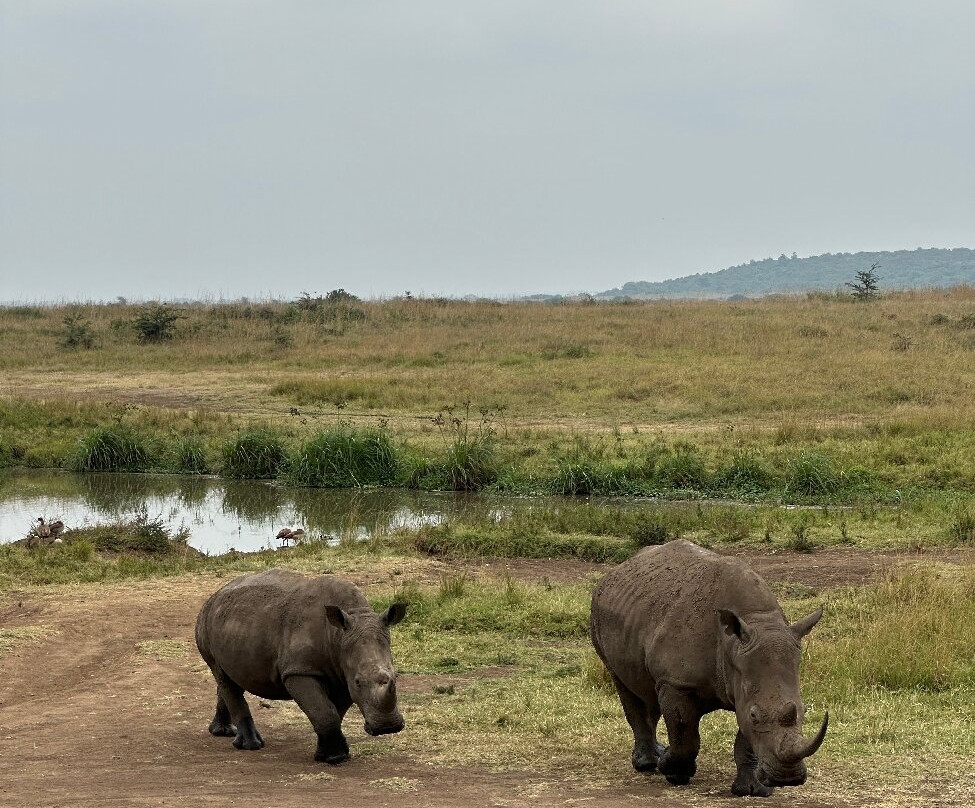 DISCOVERY OUTDOORS KENYA-Langata必去景点