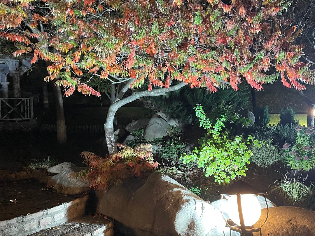 Shumi Winery-Tsinandali必去景点