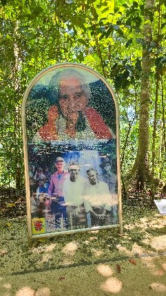 Mamu Tropical Skywalk-因尼斯费尔必去景点