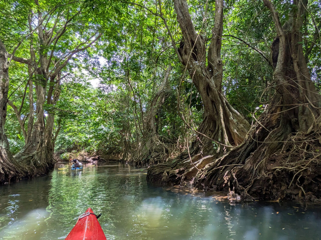 Soufriere Outdoor Cente-Soufriere必去景点