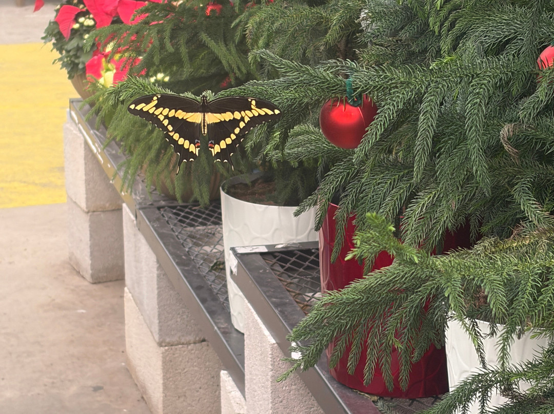 Iguanaland-蓬塔戈尔达必去景点