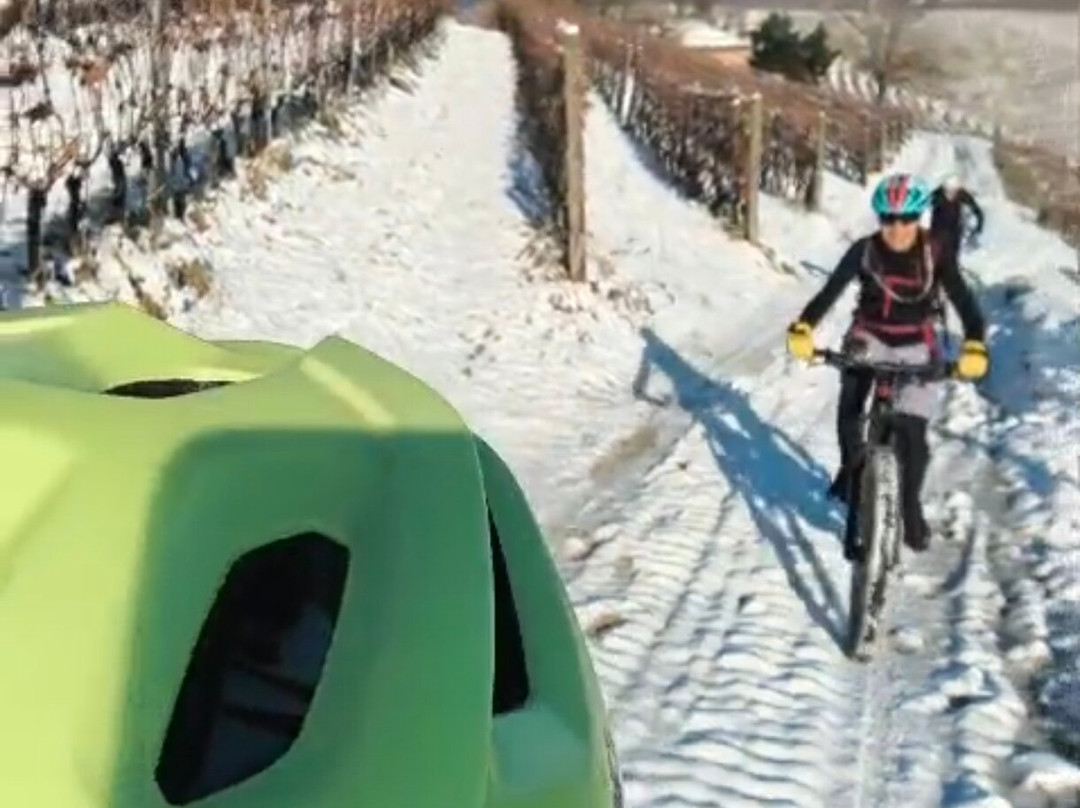 Slowdays-Corneliano d'Alba必去景点