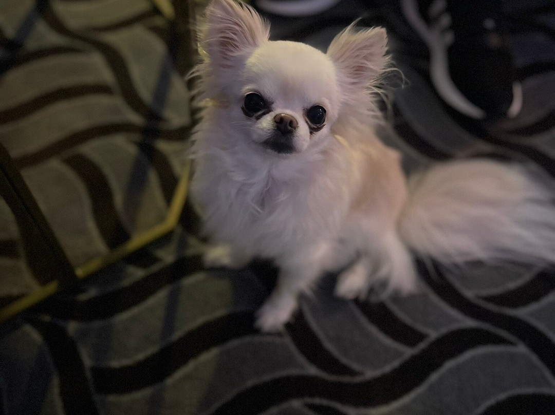 Briardene Hotel主图