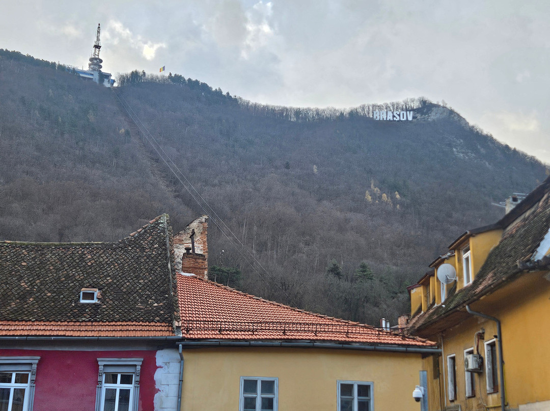 Casa Chitic - Str. Nicolae Balcescu 13主图