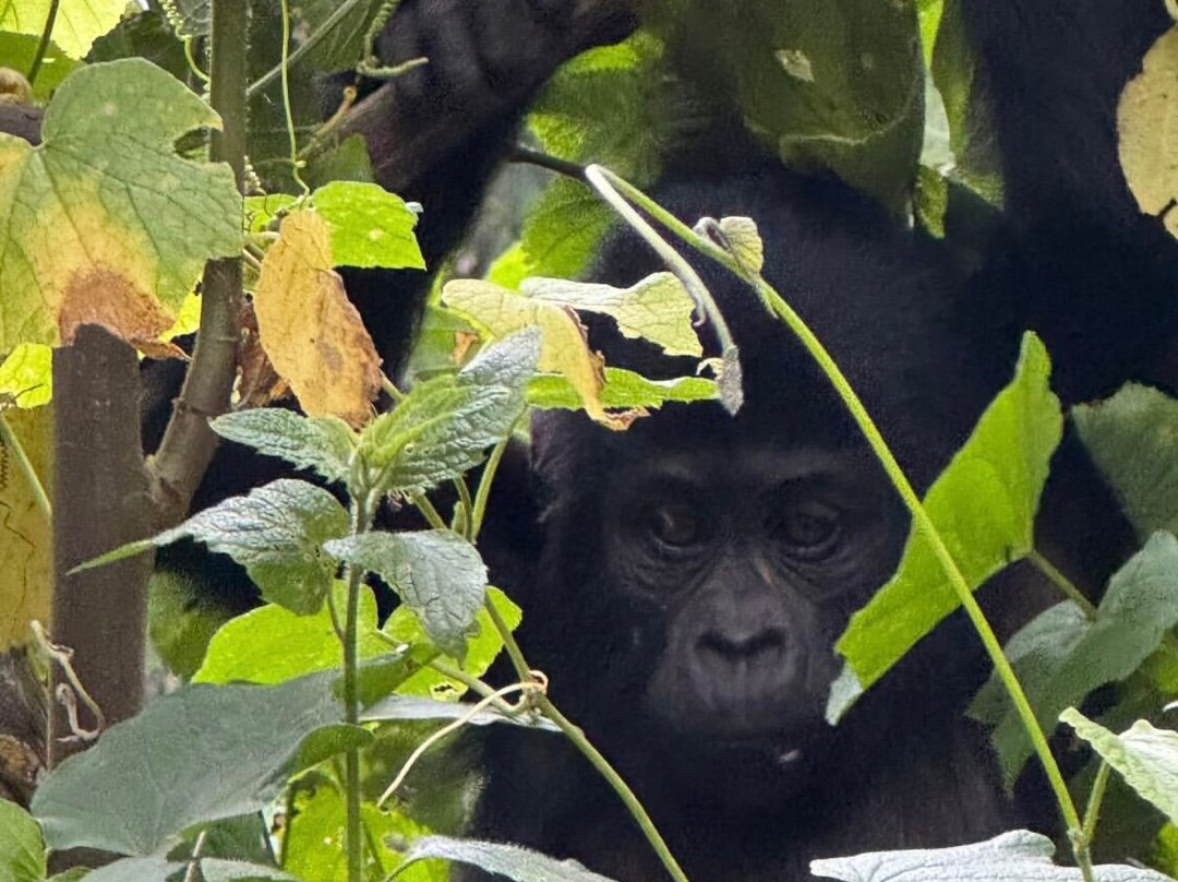 Katsam Adventures-吉佳利必去景点
