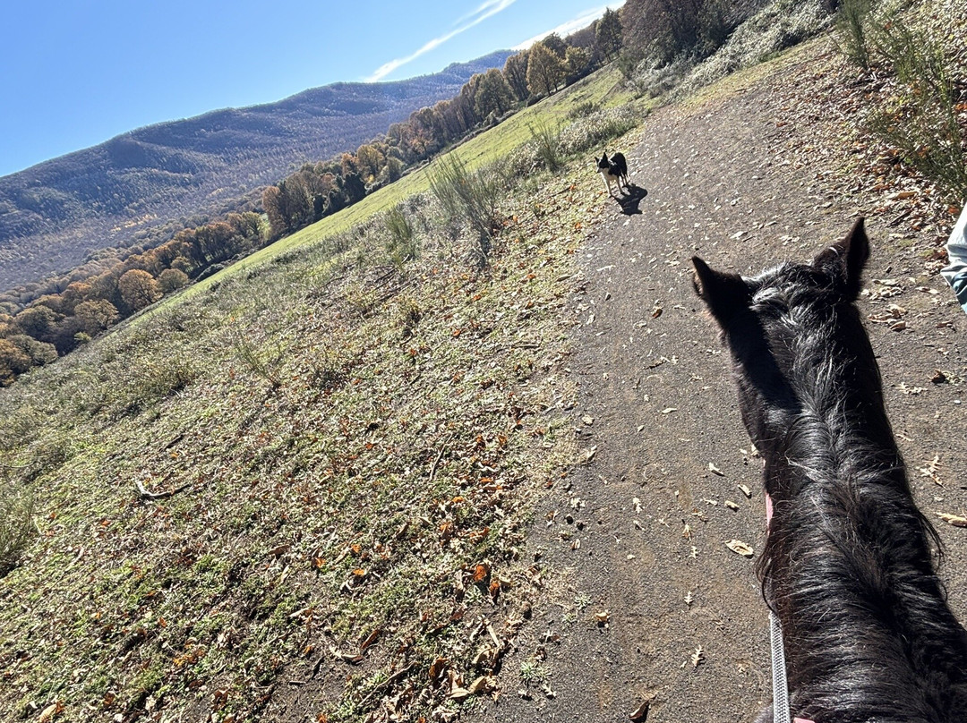 The Fairy Ranch-Rocca di Papa必去景点