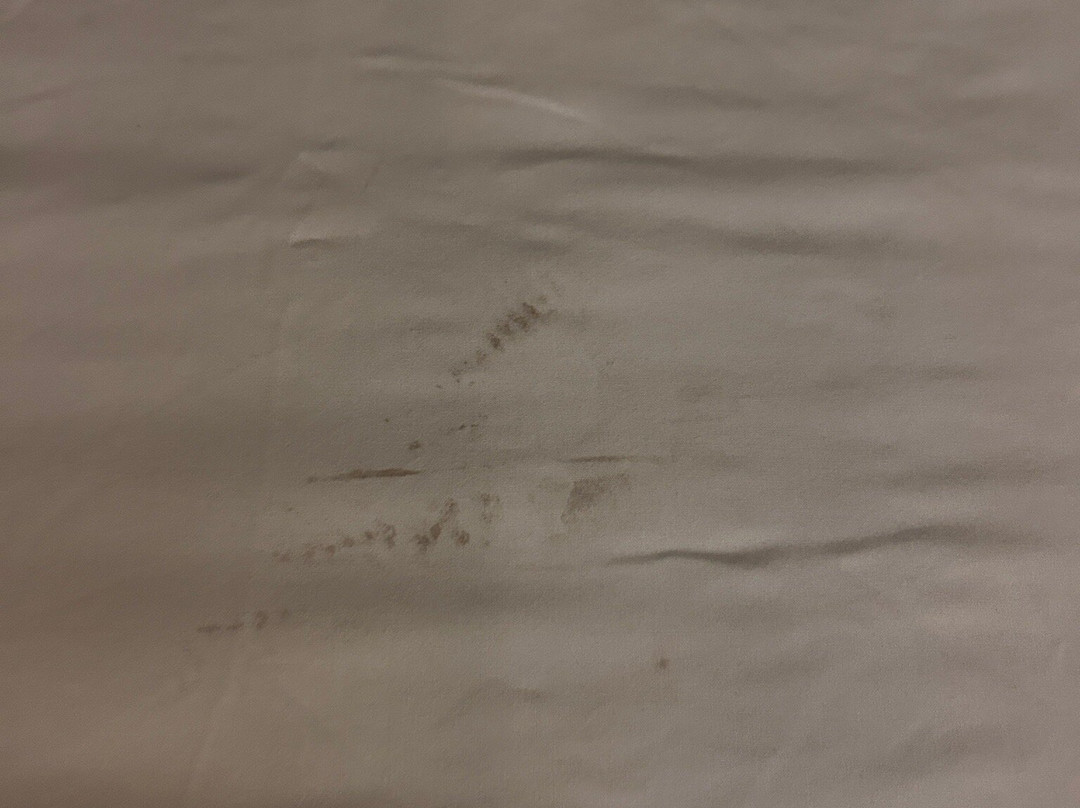 潘帕快捷假日&套房酒店主图