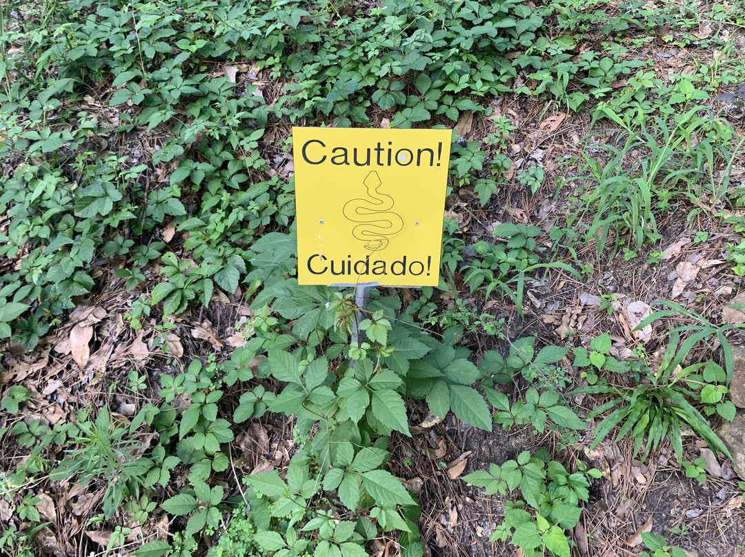 Mercer Botanic Gardens-汉布尔必去景点