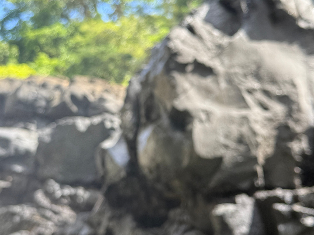 Apollon Cruise-Palmar必去景点