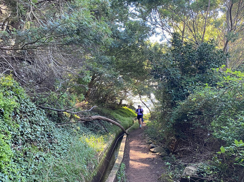 MBtours-马德拉群岛必去景点